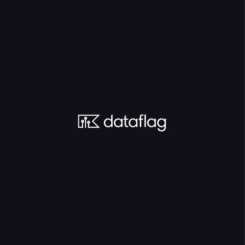 DataFlag Logo