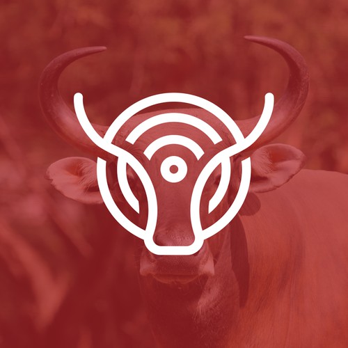 Bulls-i Logo