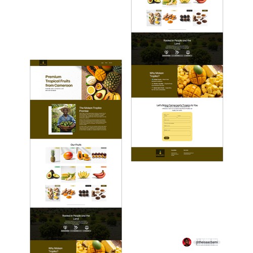 Maison Tropika Squarespace Website