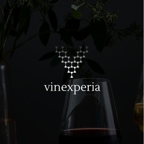 vinexperia