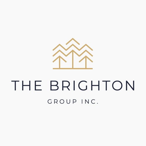 The Brighton Group Inc.