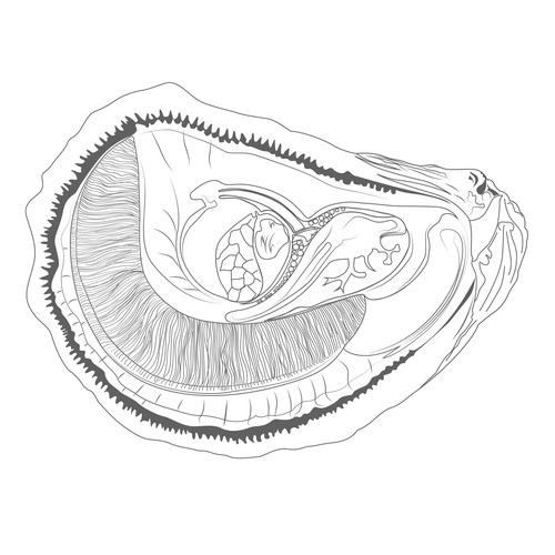 Mantle Illustration
