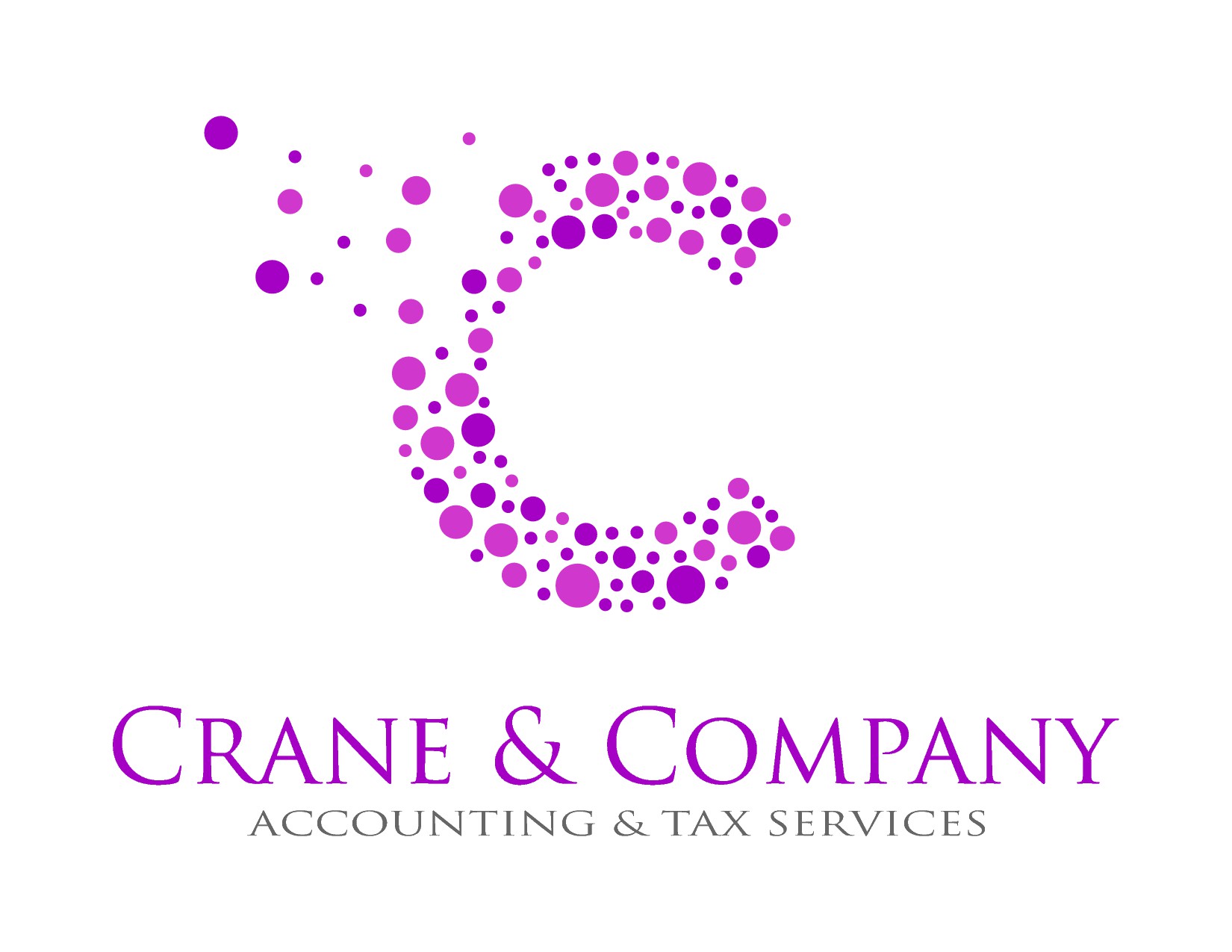 Accounting Firm Logo