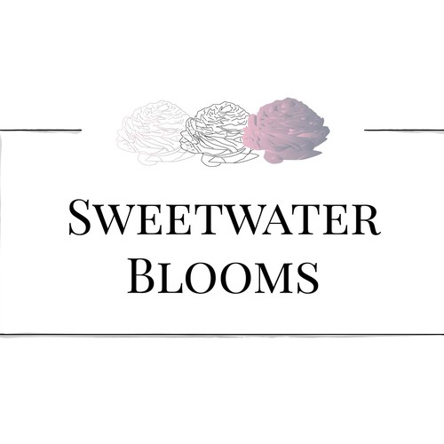 Logo concept for Sweetwater Blooms