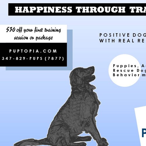 Postcard for Dog Training