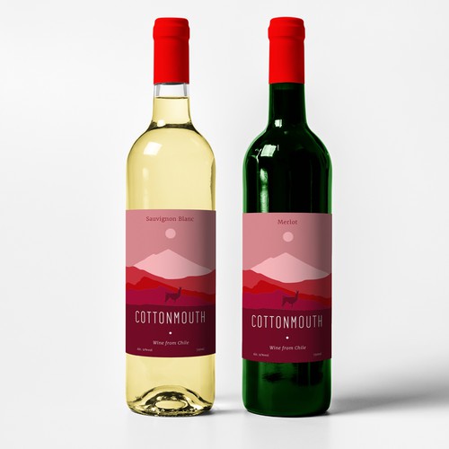 Wine Concept