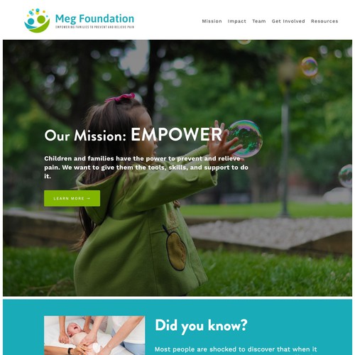 megfoundationforpain.org
