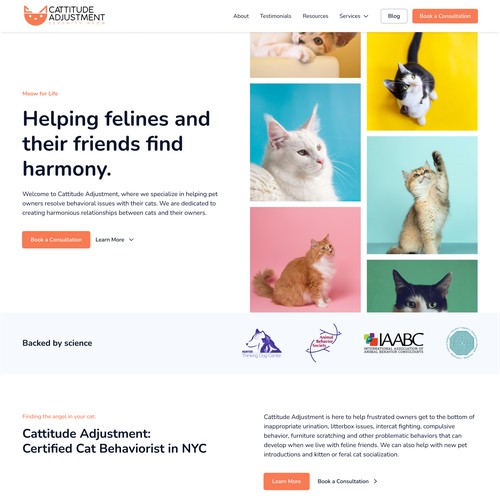 Website design for clinical cat behaviorist specialist