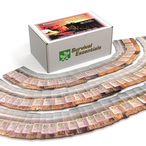 3D Rendering of two Digital Photographs