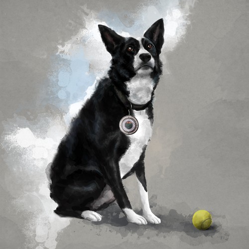 Stylized illustration of a border collie dog 