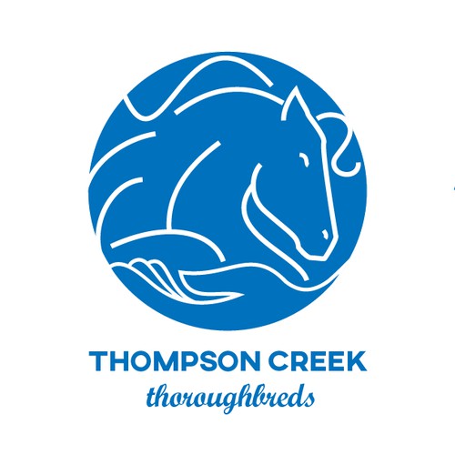 Logo concept for Thompson Creek