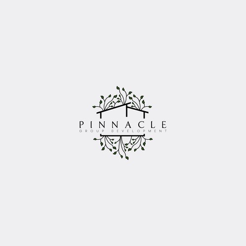 Logo design for "Pinnacle Group Development"