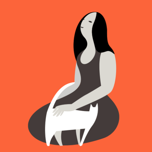 Animation. Personal project