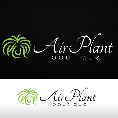 Air Plant Boutique