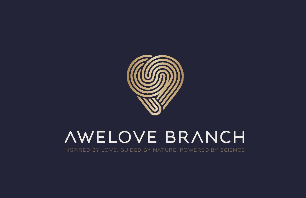 New logo and brand design 