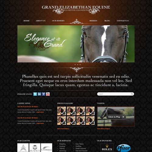 Grand equine