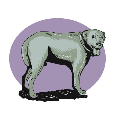 Labrador Dog Sketch