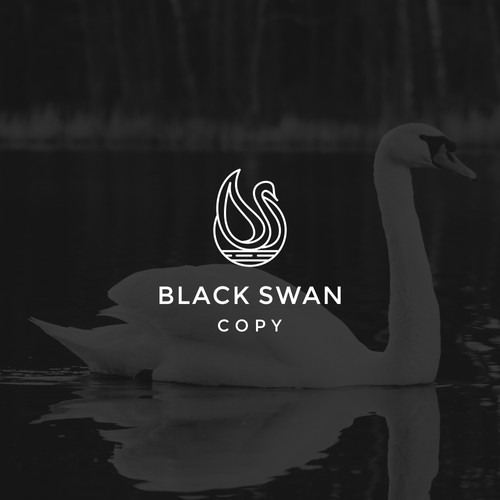 Black Swan Copy