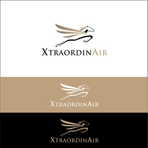 logo concept for XtraordinAir