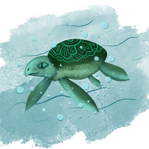 The Illustration for Ocean Stewardship Certificates 