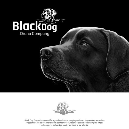Black Dog - Cutting Edge Drone Company
