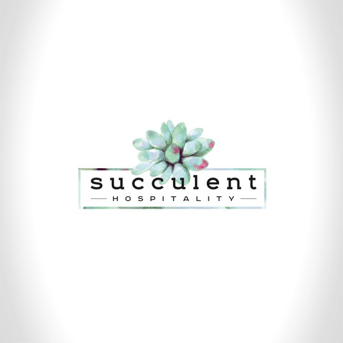 succulent hospitality