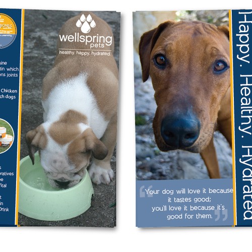 Nutrient Water for Dogs Postcard