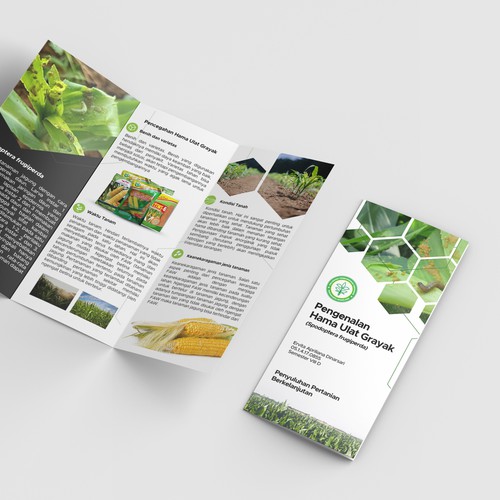 Agricultural Brochure Design