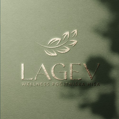 Lagev Branding Design