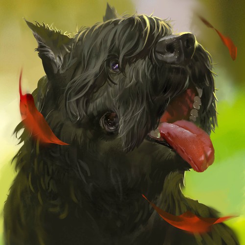 bouvier