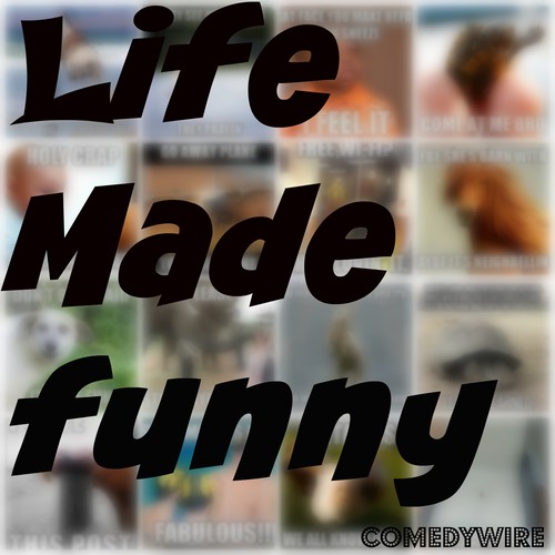 Design for social comedy  site