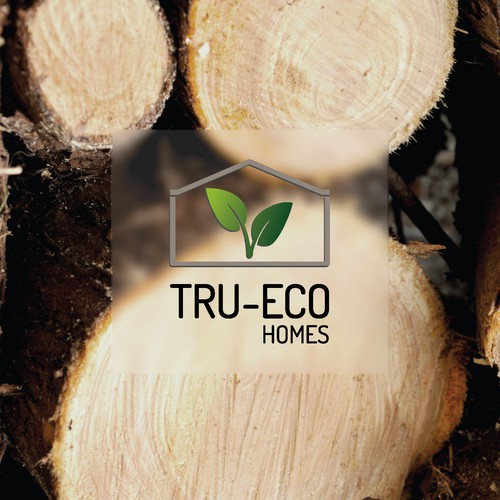 TRU-ECO HOMES Identity