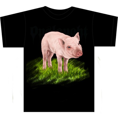 Cute animal from the farm