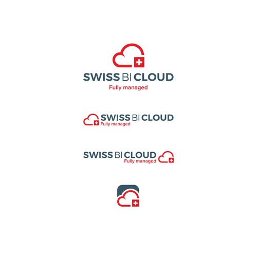Swiss Bi Cloud