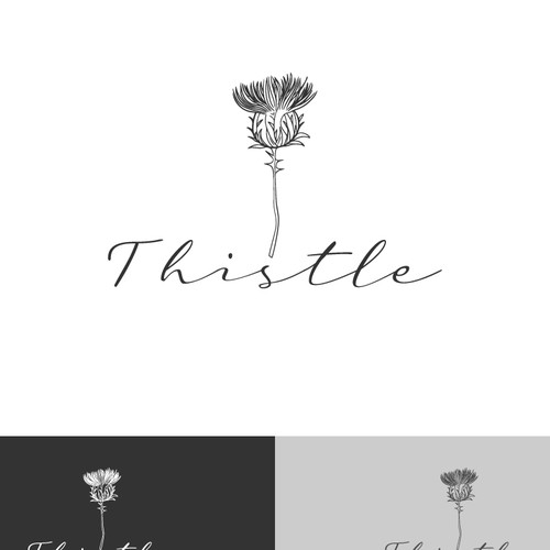 Thistle