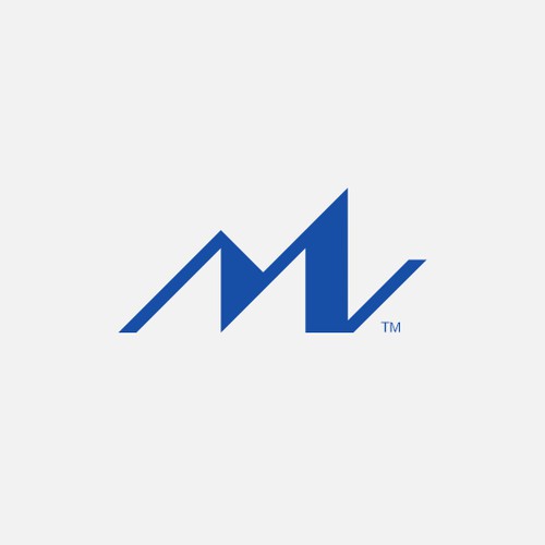 Professional Modern Design for Real Estate Development Firm