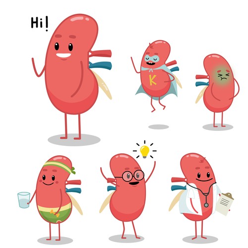 kidney character