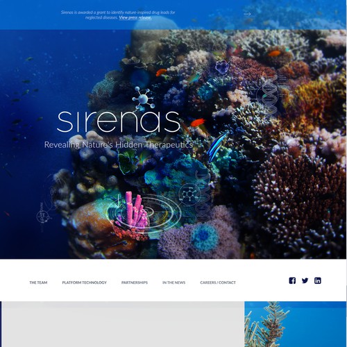 Website Header for Sirenas