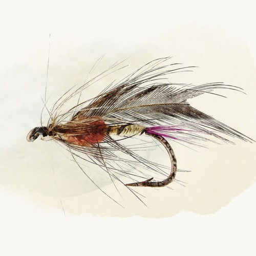 Streamer Fly Illustration