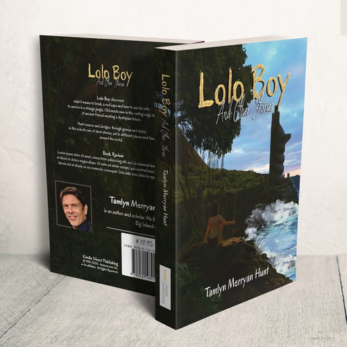 Book illustration for lolo boy storys