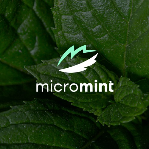 MicroMint