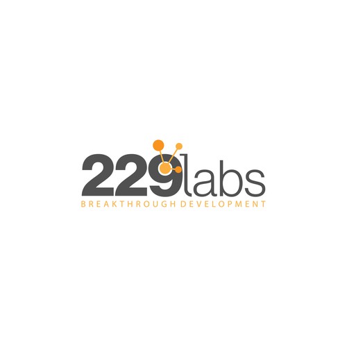 229 Labs Logo Design