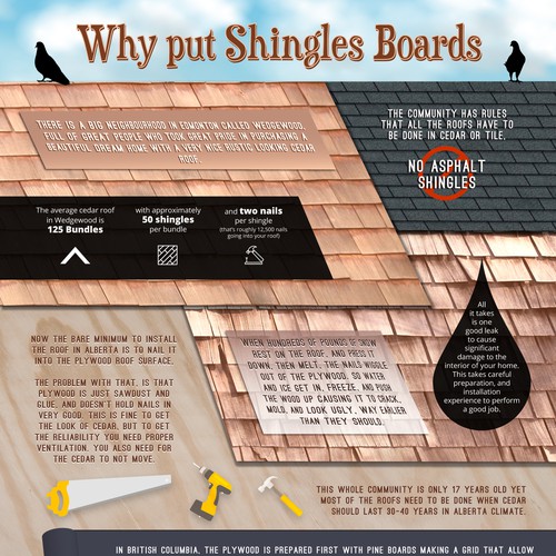 Roofing infographic