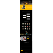 Reviewed design