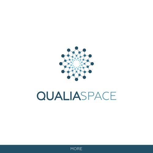 Qualia Space