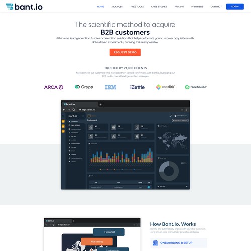 Homepage Design for BANT IO