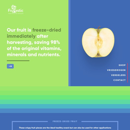 Web Design For Freeze-Dried Fruit Company