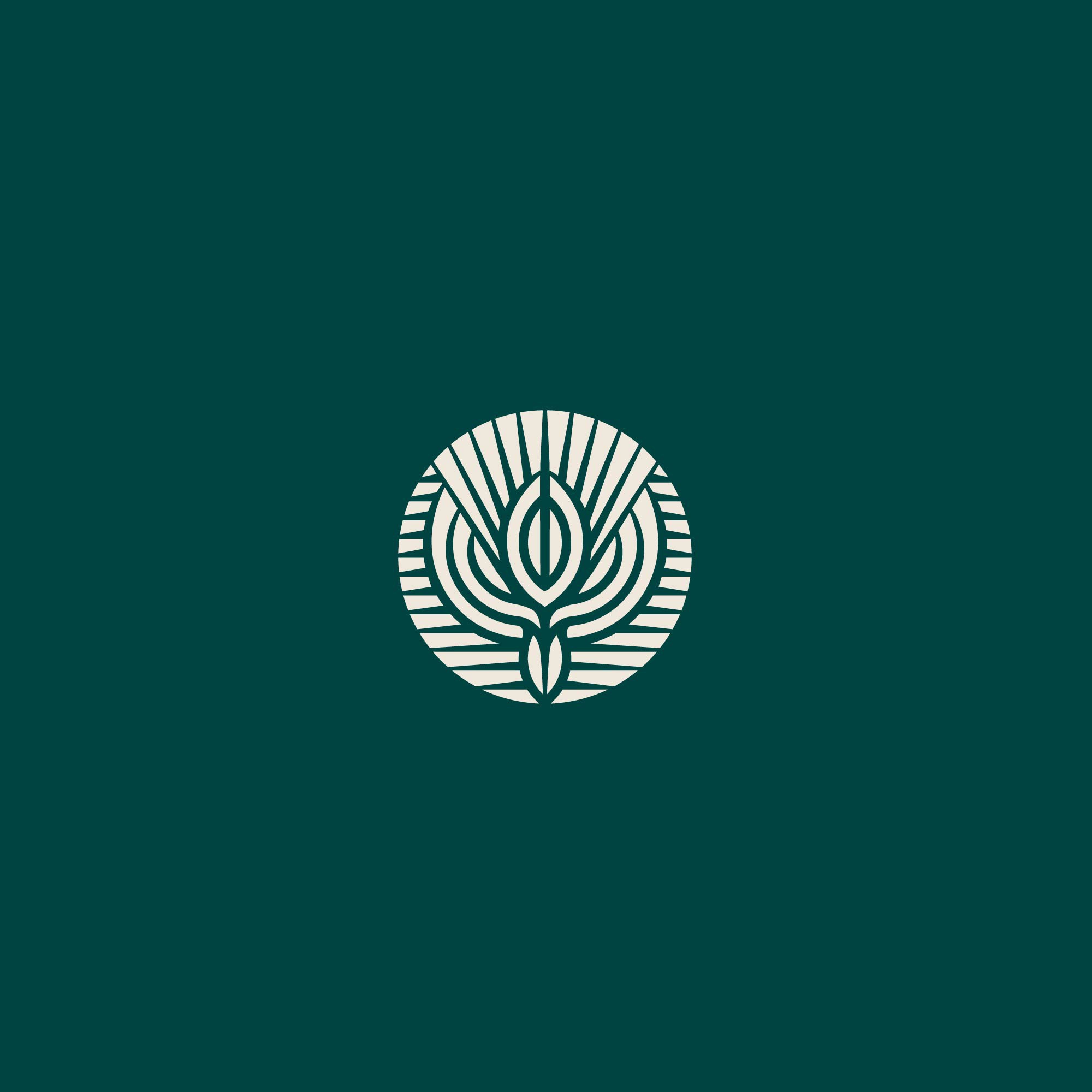 School of Life logo