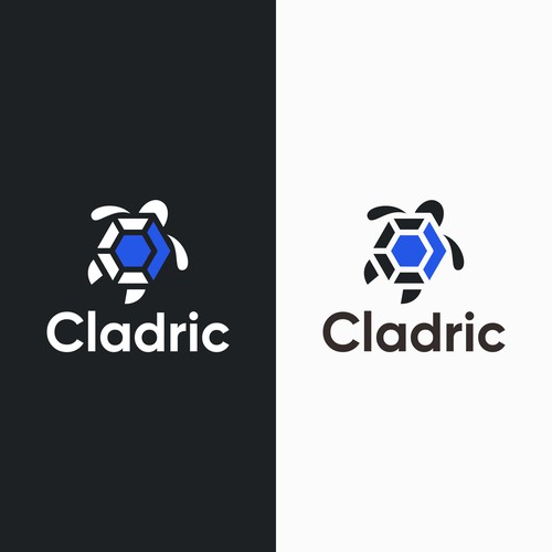 letter C and Turtle logos, logo for technology company