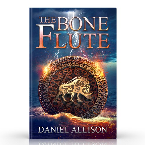Young Adult fantasy novel